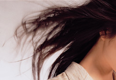 Yushin Sako collection official website